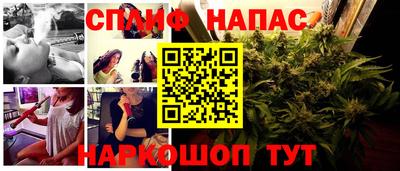 сатива Ирбит