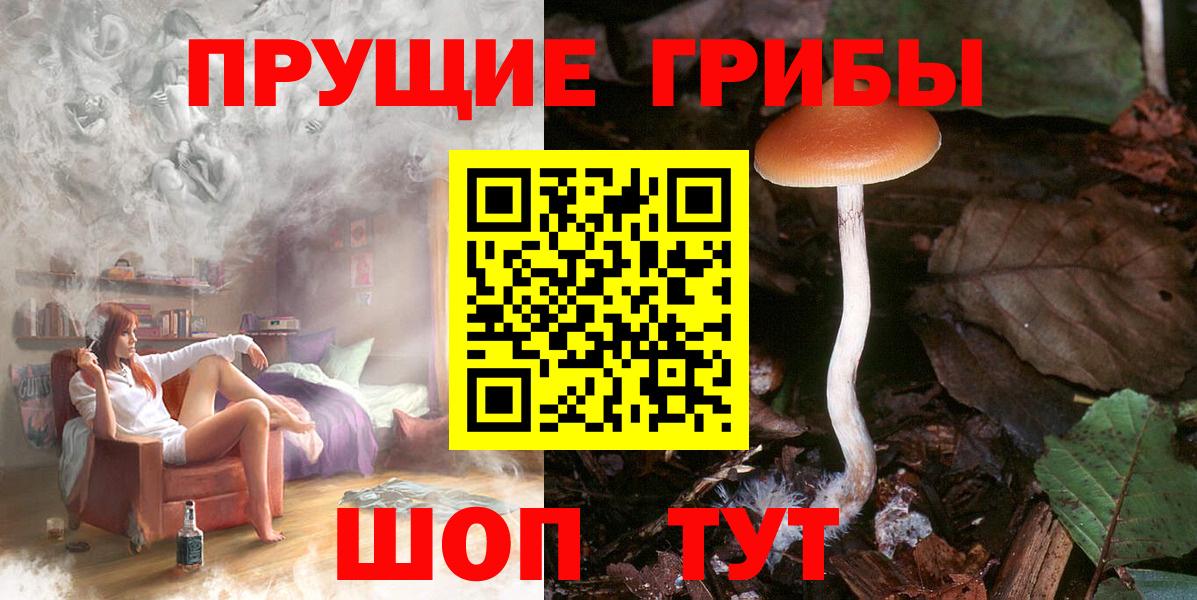 Галлюциногенные грибы MAGIC MUSHROOMS Назрань
