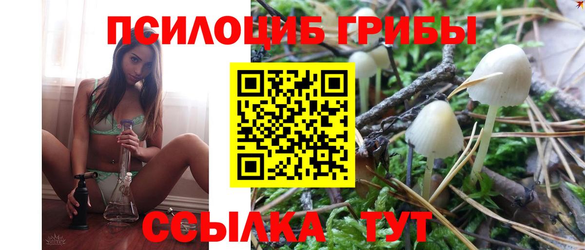 Псилоцибиновые грибы мицелий  Вход с VPN  где купить наркотик  Назрань 